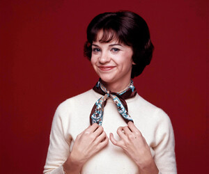 Cindy Williams  - images