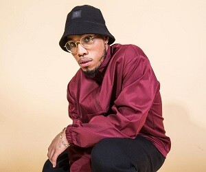 Anderson Paak Height, Weight, Religion, Net Worth, Age, Bio