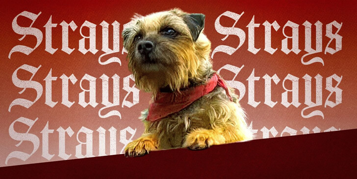 Strays Movie Quiz: Which Strays Movie Character Are You?